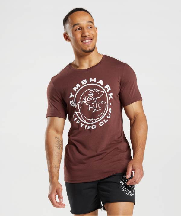 Panske Tricka Gymshark Legacy Ruzove Hnede | TK5270864